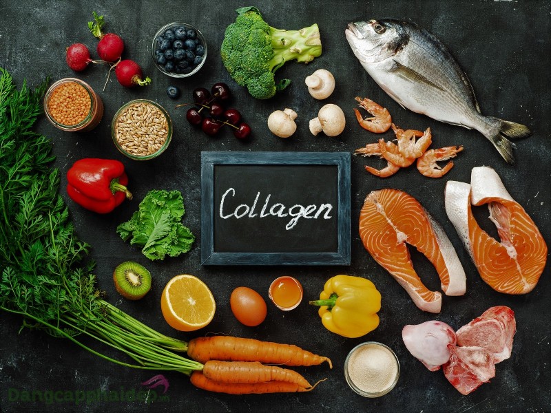 Collagen có trong thực phẩm nào?