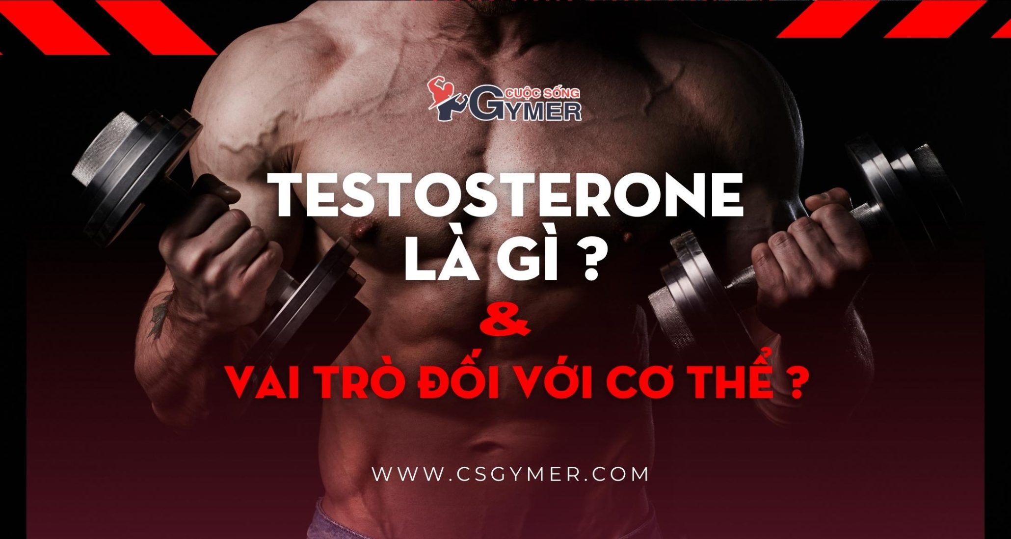 Testosterone là gì và vai trò đối với cơ thể?