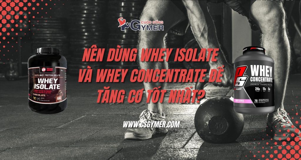 Nên dùng Whey Isolate và Whey Concentrate để tăng cơ tốt nhất?