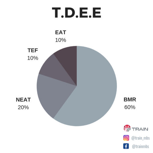 TDEE Là Gì Và Công Cụ Tính TDEE Chuẩn Xác Cho Dân Tập Tạ [UPDATE 2024]