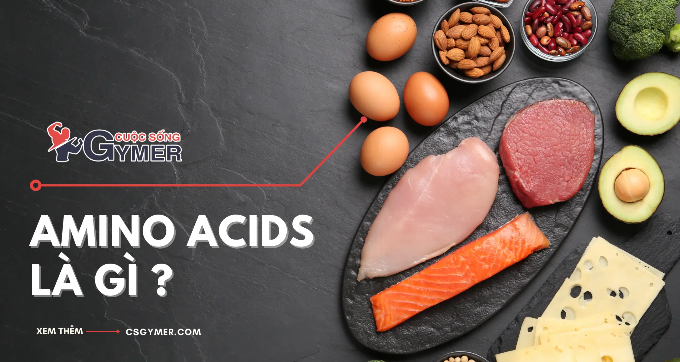 Amino Acids Là Gì? Công Dụng Của Amino Acids Đối Với Đời Sống