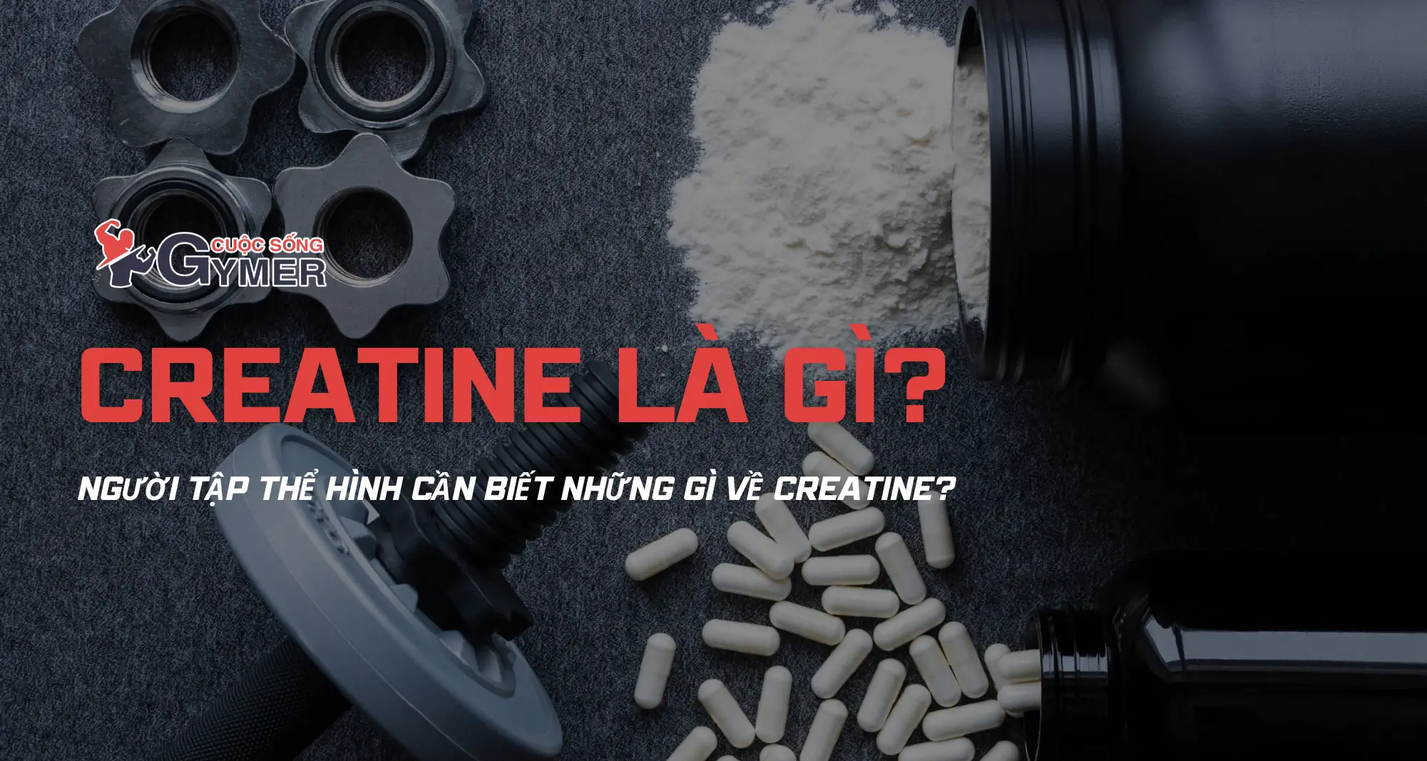 Creatine Là Gì? Người Tập Thể Hình Cần Biết Gì Về Creatine? [UPDATE 2024]