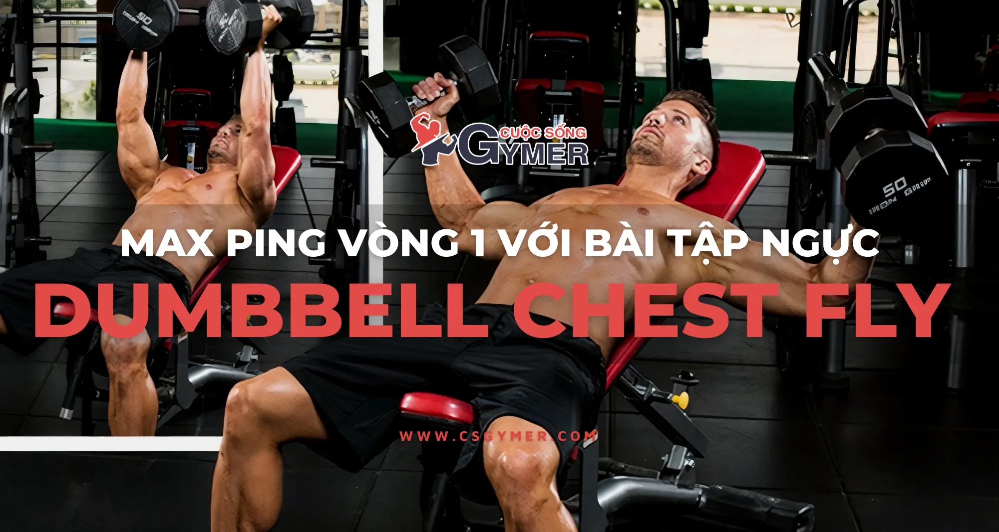 Dumbbell Chest Fly Và Phương Pháp Tập Max Ping Vòng 1 Cực Gắt [UPDATE 2024]