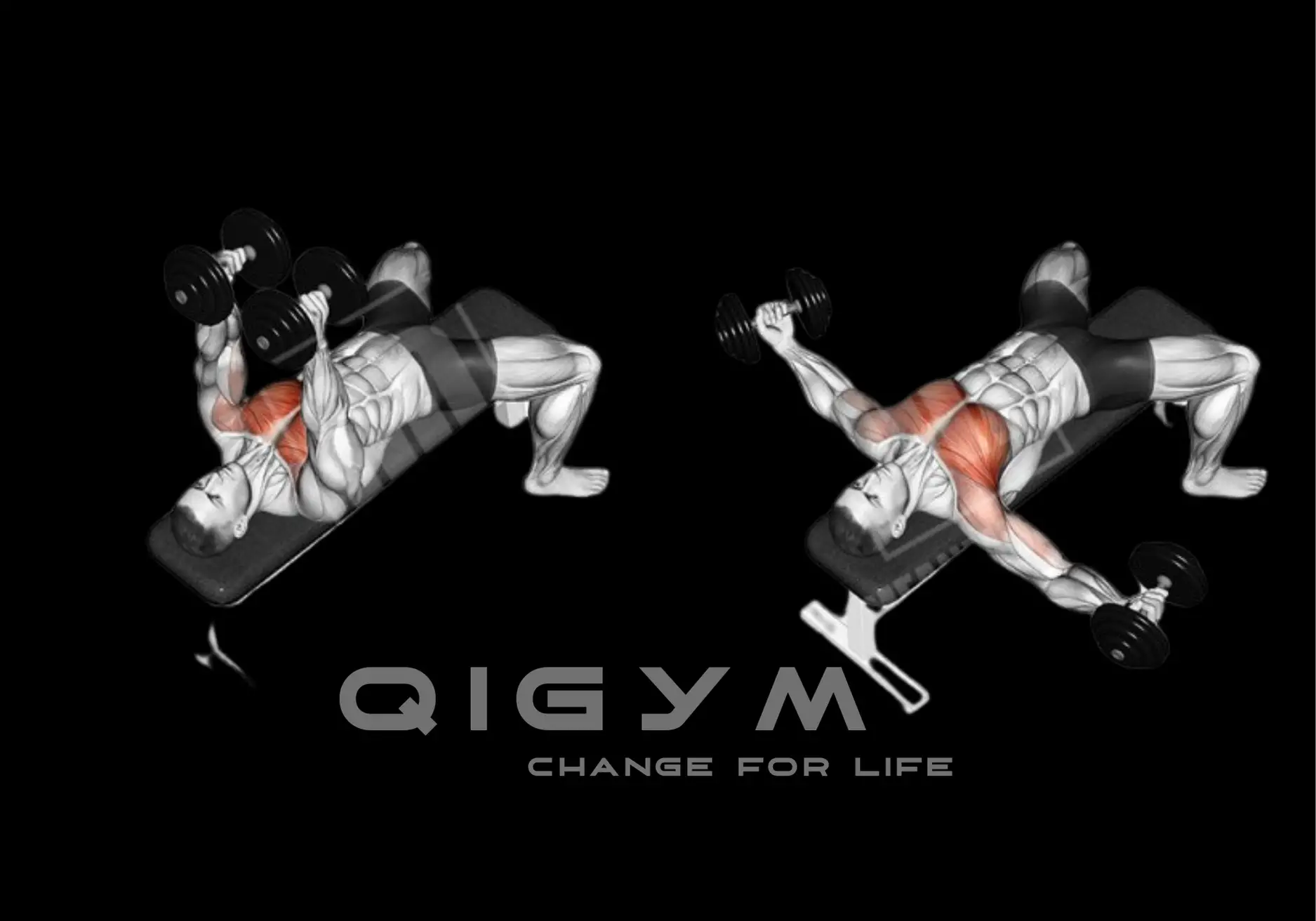 Dumbbell Chest Fly Và Phương Pháp Tập Max Ping Vòng 1 Cực Gắt [UPDATE 2024]