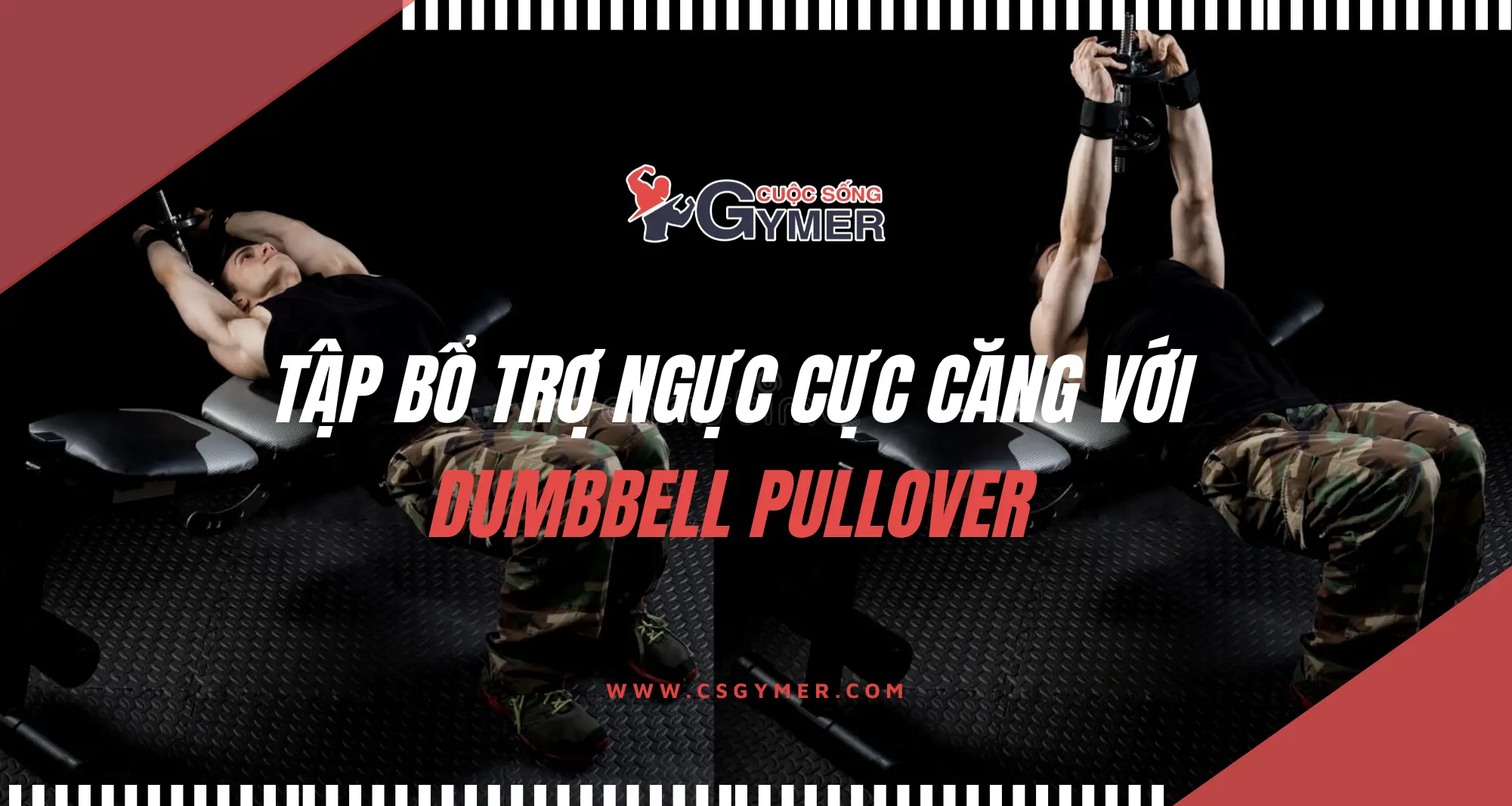 Dumbbell Pullover Và Phương Pháp Tập Bổ Trợ Ngực Cực Căng [UPDATE 2024]