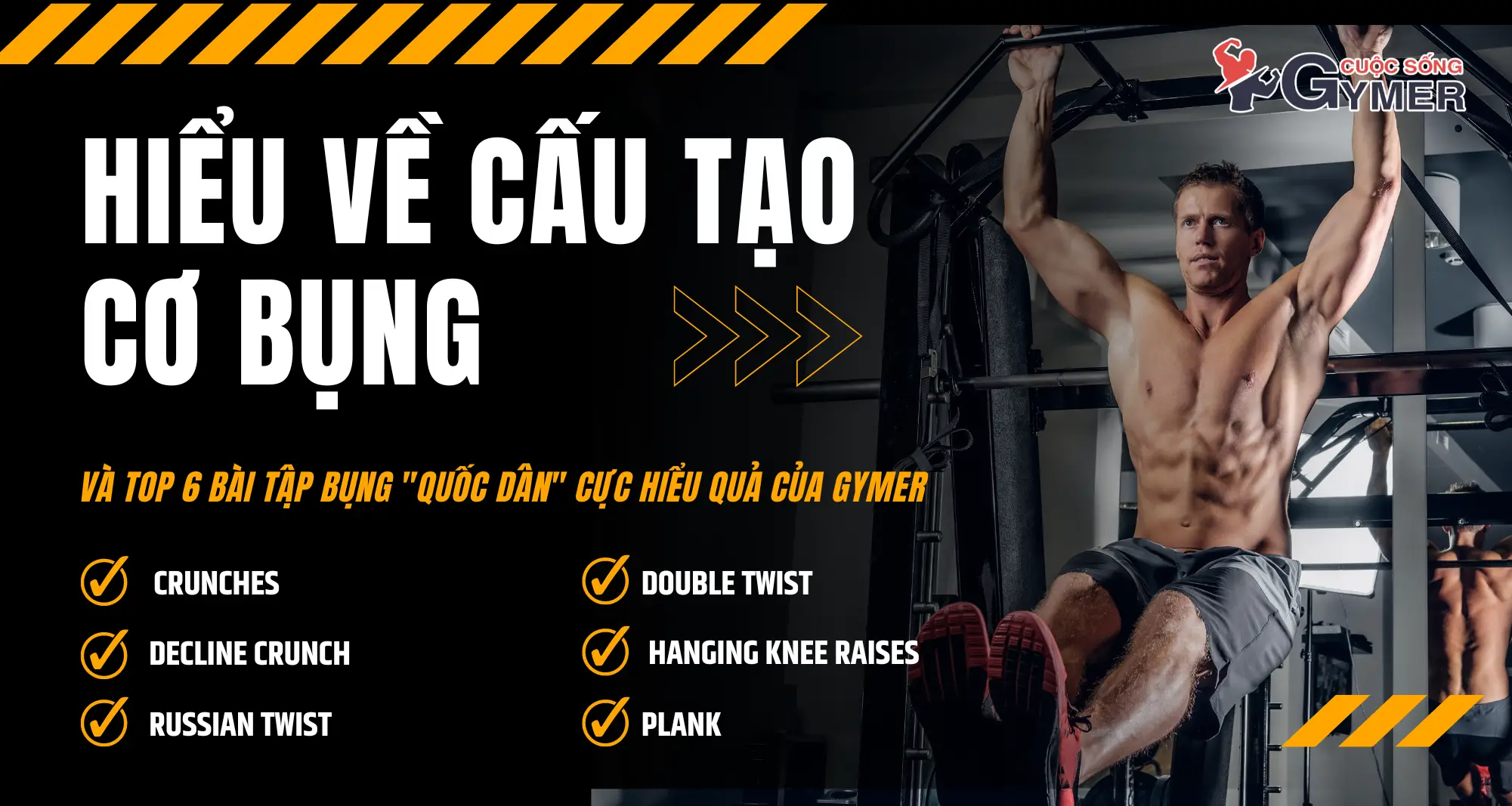 Hiểu Về Cấu Tạo Cơ Bụng Và Top 6 Bài Tập Bụng Quốc Dân Cực Hiệu Quả [UPDATE 2024]