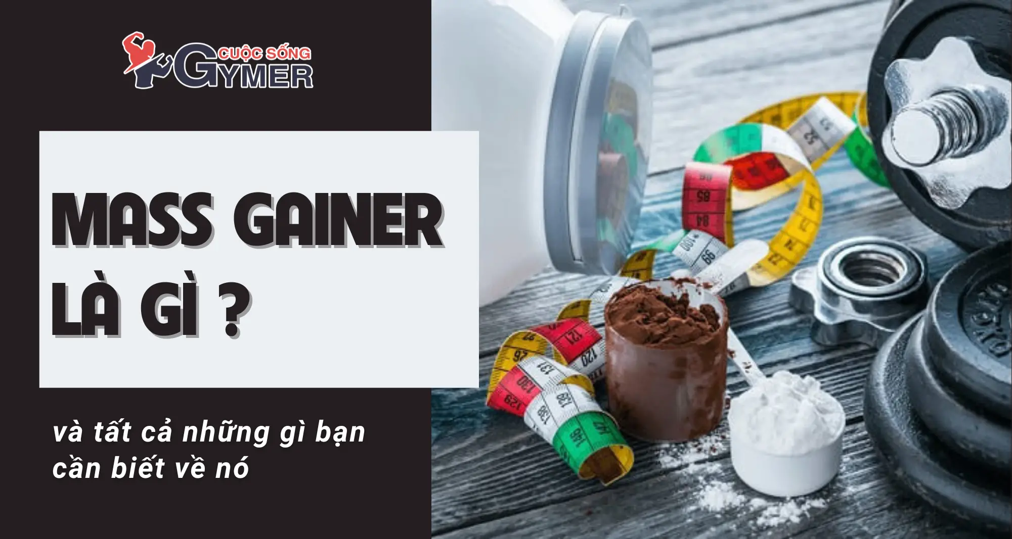 Mass Gainer Là Gì? Tìm Hiểu Về Thực Phẩm Bổ Sung Giúp Tăng Cân [UPDATE 2024]