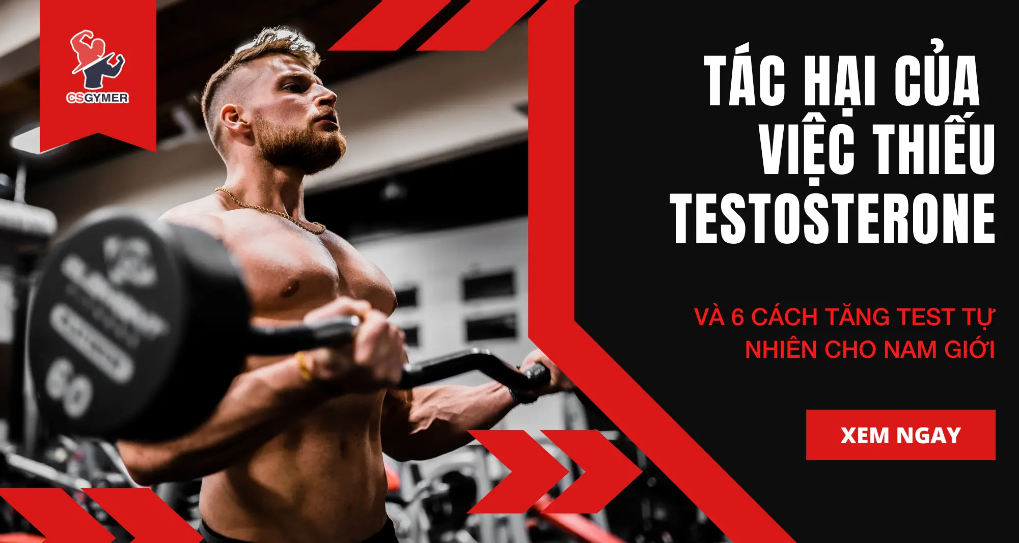 Tác Hại Khi Thiếu Testosterone Và 6 Cách Tăng Testosterone Tự Nhiên [UPDATE 2024]