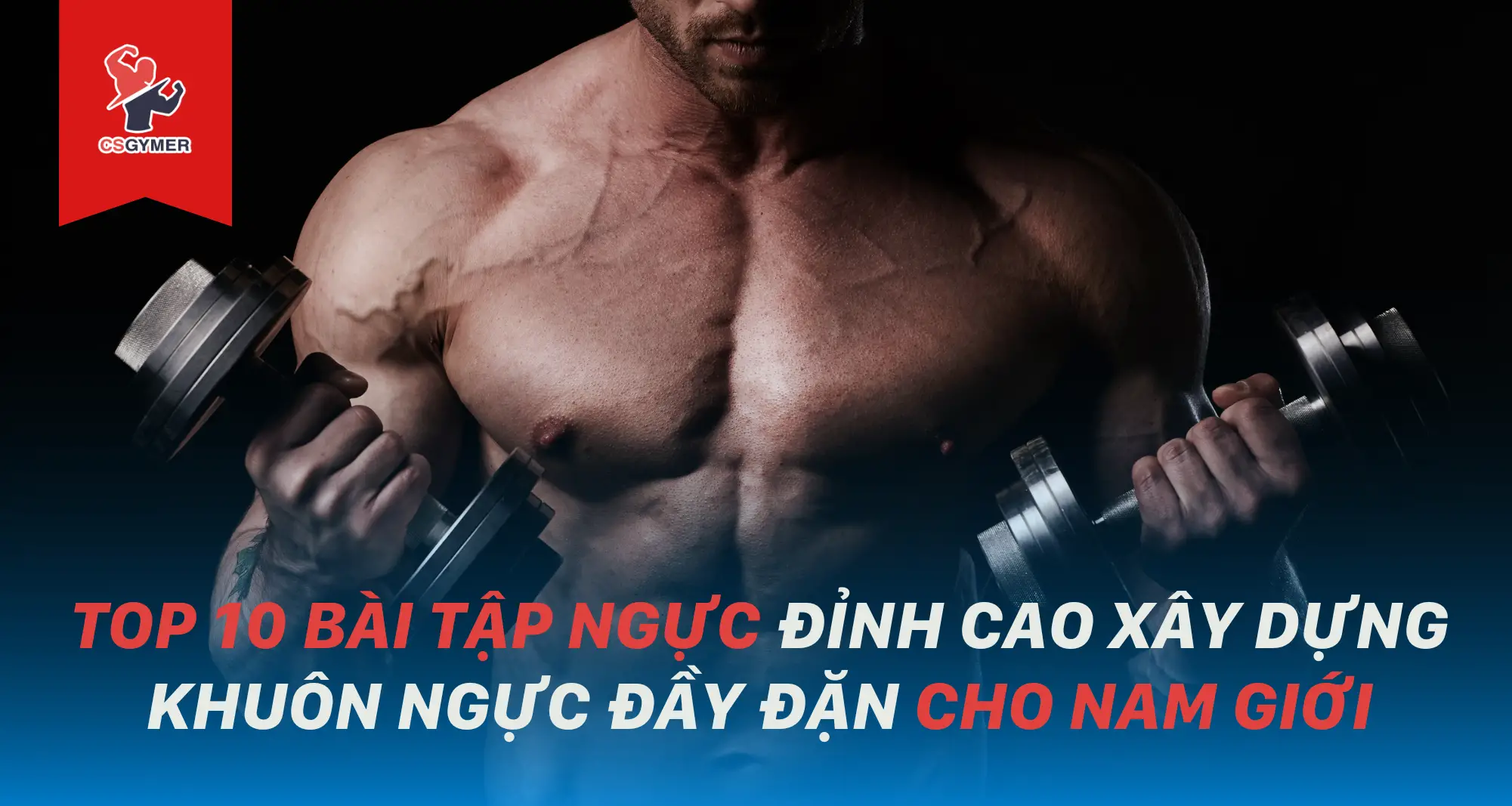 TOP 10 Bài Tập Ngực Đỉnh Cao Xây Dựng Khuôn Ngực Đầy Đặn Cho Nam [UPDATE 2024]